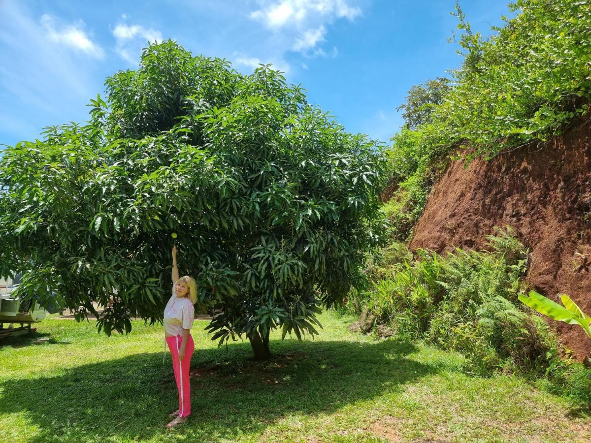 Mirella Villa Island Princess Villa Anse Volbert Village Exterior foto